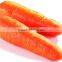 hot sale Fresh Carrot Factory directly supply Grade A