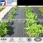Black Ground Cover,Weed Control Fabric Popular 100GSM,2M*100M
