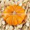 PUMPKIN SEEDS