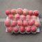 2015 new crop chinese fresh Fuji Apple from Pengjie