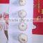 china fresh white garlic in bag or carton