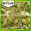 shine skin pumpkin kernel (best price) ,Gold supplier (Kingland)