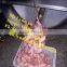 frozen meat flaker / meat slicing machine /meat planing machine