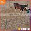 25*25mm pipe hot dipped galvanized material horse fence / cattle yard fence