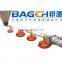 Bangchi poultry automatic feeding system