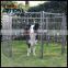 2015 New Model High Quality Commercial Dog Cage