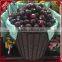 A new display rack to improve your high grade fruit sale