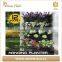 Urban Garden Vertical Planter Grow Bag Hanging Garden Planter Bags