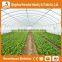 Heracles Trade Assurance poly tunnel mini greenhouse