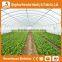 Heracles Trade Assurance poly tunnel mini greenhouse