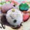 2017 creative Womens Wallets Small zipper Coconut Shell coin bag Little Girl Coins Money Bag