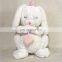 Sleeping Stuffed Plush White Rabbit Toy With Heart Custom Long Ears Soft Girl Toy Plush Rabbit