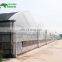 Low Price Plastic Film Greenhouse Equipment with High Quality