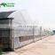 China easily to maintain low cost greenhouse commercial plastic vegetable greenhouse