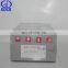 120P59Nanyue fuel injection pump plunger element SAY120P59