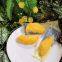 Automatic Durian Vacuum Packing Machine