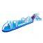 Giant Single Lane Slip n Slide Water Inflatable Adult Slip And Slide For Sale