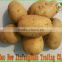 2016 Premium Fresh Potato Price