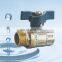 Pn40 Water Lockable Npt Threaded Male Gas Brass Flare Ball Valve With Handle