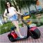 2016 the most fashionable citycoco 2 wheel electric scooter, adult electric motorcycle                        
                                                Quality Choice