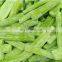 Sinocharm BRC A Approved IQF Asparagus Lettuce Sliced Cut Frozen Celtuce strip