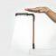 Hands moving sensor  Dimmable Touch Switch and Flexible Goose neck USB  reading  light