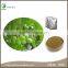 Hot Selling products Olive Leaf Extract Powder