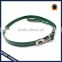hot dark green plastic dog leads with reflective strap