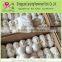 Eco Friendly Organic Australian Wool Dryer Balls                        
                                                Quality Choice