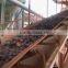 EP350 fire resistant rubber conveyor belt made in china