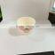 Custom printed cute ice cream paper bowl