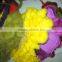 Dyed rabbit fur pelt or skin
