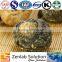 Maca Extract for Sex Medicine