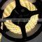 Warm white single color 12v led strip light 2835 smd led strip led rope light