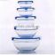 Sales promotion150ml-1000ml 5 Piece Glass Bowl Set with silicone Lids (Microwave, freezer and dishwasher safe)