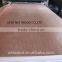 one time/two time hot press 12mm brown/black/ film faced plywood linyi china factory
