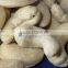 high quality fresh indian cashew