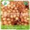 Egypt export fresh onion