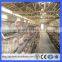 Guangzhou Hot selling A Type automatic poultry farm cage for layer/hen/egg chicken in Algeria (Guangzhou Factory)