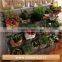 Green Field Washable Kraft Paper Storage Bag waterproof planter bag