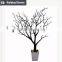 New products 2015 innovative product wedding table decoration tree branches for centerpieces