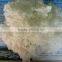 Virgin Hollow Conjugate Fibres