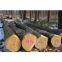 Beech logs and lumbers for sale