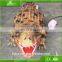 KAWAH Life Size Walking Crocodile Artificial Animal Statues For Sale