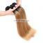 Two tone colored hair 1b/27 ombre hair extensions silky straight brazilian hair weave bundles