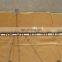 K38 VT28 V28 engine camshaft 3070838 4084750 3801307 199180