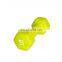High Quality Gym Equipment Dumbbells Dumbbell Plastic Women Dumbbell
