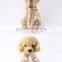 Small Pet dog raincoat clothes transparent Waterproof dog apparel for rain coat