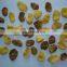 corn flake production line by chinese supplier since 1988