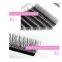 Y Type Mesh Automatic Weaving Eyelash Training Lashes For Beginners Eyelash Extensions Beauty Salon Student Practice